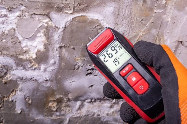 Best Local Mold Removal Service  in Roseto, PA