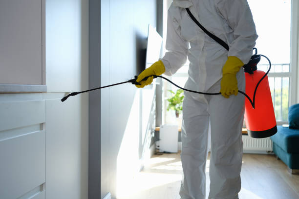 Office Mold Removal Services in Roseto, PA
